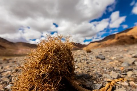 Morocco desert Фото