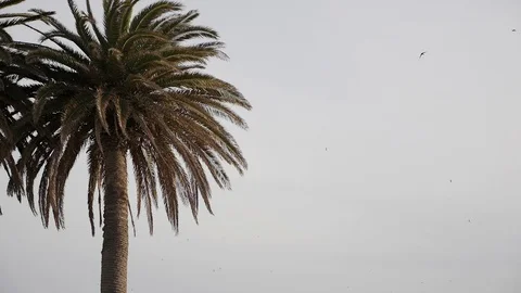 Morocco Fez City Video stock 88636104