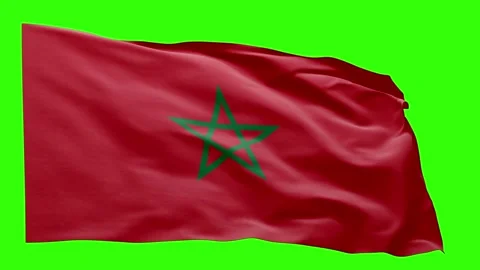 Morocco Flag Animation – Seamless Loop (4K UHD) Stock Footage 319029766