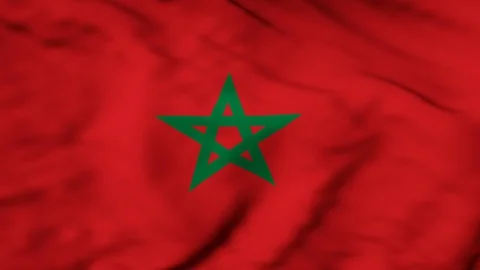 The Morocco flag waving in the wind Stock Footage 88229246