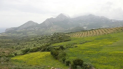Morocco Green Landscape Video stock 88636235