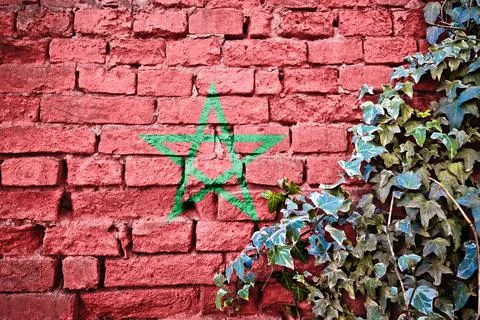 Morocco grunge flag on brick wall with ivy plant Stock Illustration