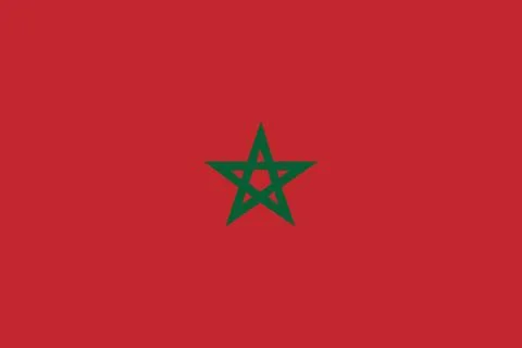 Morocco national flag flat vector illustration Stock Illustration