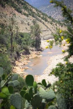 Morocco oasis Stock Photos