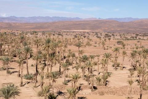 Morocco Stock Photos