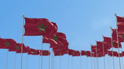 Morocco Row Of Flags Animation Stock-Footage 148753309