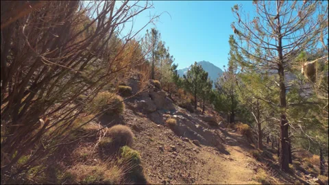 Morocco visuals Stock Footage 233008484