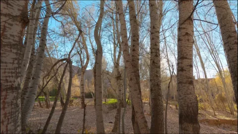 Morocco visuals Stock Footage 233008843