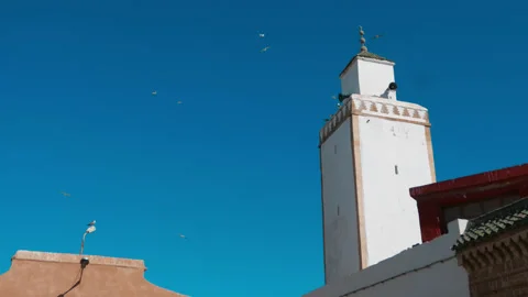 Morocco visuals Stock-Footage 233011366