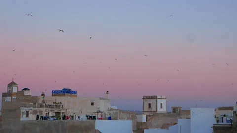 Morocco visuals Stock Footage 233011604