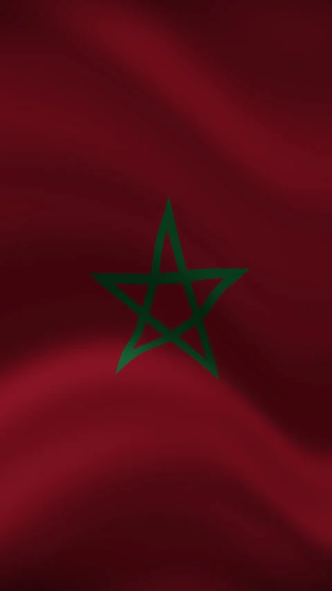 Morocco Waving Flag in Vertical Orientation – Realistic Loop Animation Stock Footage 294948191