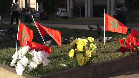 Morocco's flag with flower Stockbeeldmateriaal 96252886