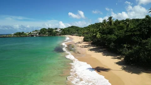 Moron beach isolation 13 Video stock 324499891