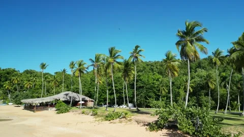 Moron beach palms ocean 15 Video stock 326465643