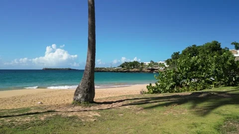 Moron beach palms ocean 17. Stock-Footage 326465636
