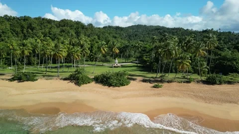 Moron beach statue 20 스톡 동영상 326466657