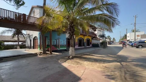 Morondava street view with a palm tree in nice evening light. Madagascar. Vídeo Stock 331702201