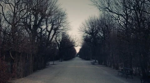 Morph Winter to Summer 2 Stock-Footage 40867524