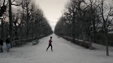 Morph Winter to Summer Stock-Footage 40867527