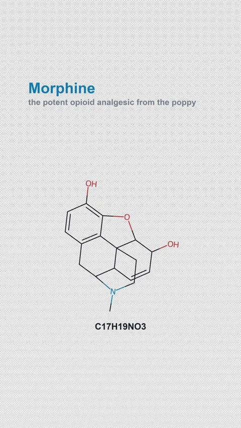 Morphine Molecular Structure Labeled Chemistry Alpha 4K Vertical 9x16 Light Stock Footage 340007488
