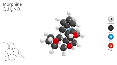 Morphine or morphium. 3D model of a molecule. C17H19NO3. White back. 3D render Stock Footage 289108776