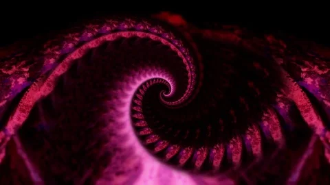 Morphing alien octopus fibonacci spiral abstract nature art Stock Footage 72128592