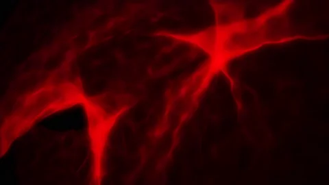 Morphing red digital design Stock Footage 155220511