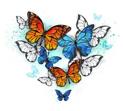 Morpho and monarchs Stock Illustration