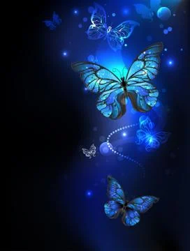 Morpho butterfly in the dark Ilustración de archivo