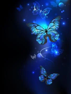 Morpho butterfly in the dark Ilustración de archivo