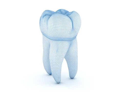 Morphology of First maxillary molar tooth.  Wired 3d illustration Stock Illustration