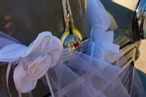 Morris 2 写真素材