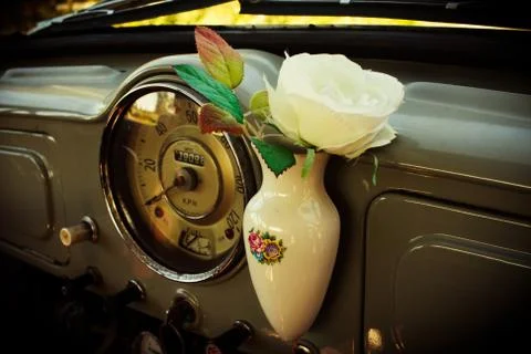 Morris 3 写真素材