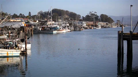 Morro Bay 05 HD Stock Footage 38234965