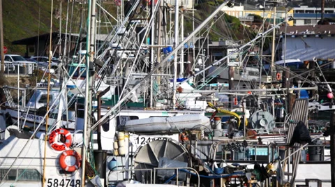 Morro Bay 06 HD Video stock 38236295