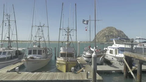 Morro Bay with boats in foreground Vidéo 75694105
