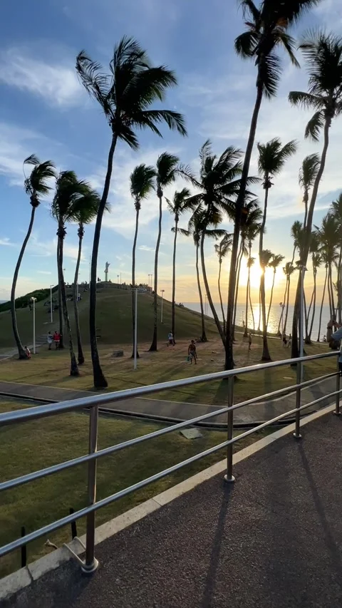 Morro do Cristo Hill at Sunset with Palm Trees in Salvador Bahia Brazil Vidéo 343581226