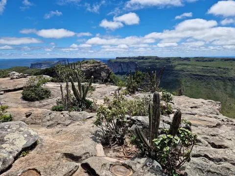 Morro do Pai Inacio in Chapada Diamantina National Park in Brazil 写真素材