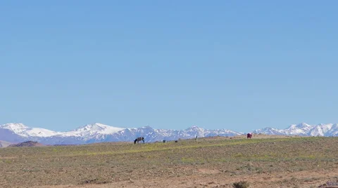 Morrocan Atlas Mountains Stock Footage 49446098