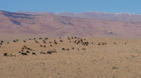 Morrocan Atlas Mountains Stock Footage 49446531