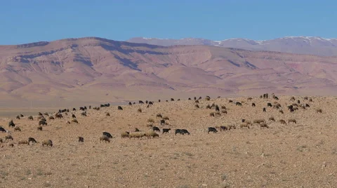 Morrocan Atlas Mountains Stock-Footage 49446628