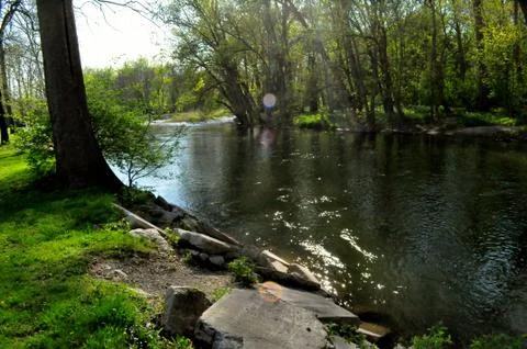 Morrows meadow Фото
