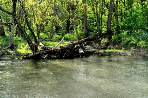 Morrows meadow 写真素材