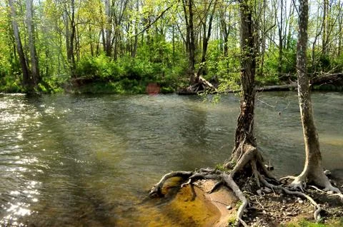 Morrows meadow 写真素材