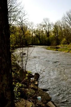 Morrows meadow 写真素材