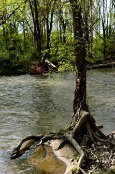 Morrows meadow 写真素材