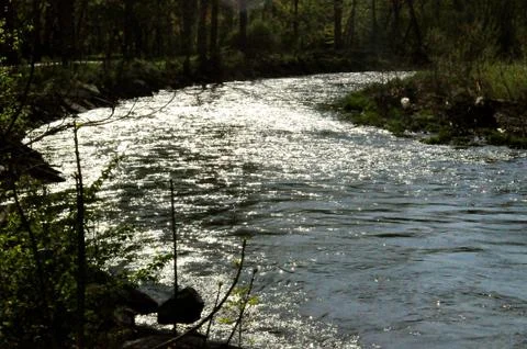 Morrows meadow 写真素材