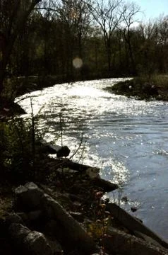 Morrows meadow 写真素材