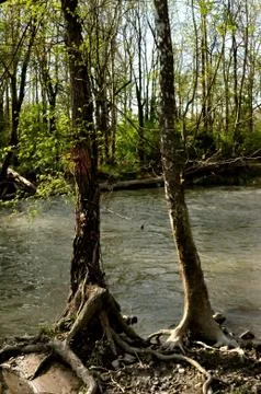 Morrows meadow Stock Photos