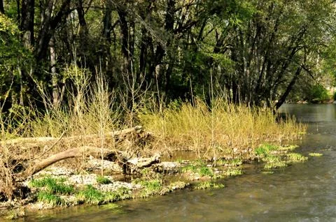 Morrows meadow 스톡 사진